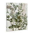 thumbnail image 4 of Stupell Industries Botanical Greenery Pattern Botanical & Floral Painting Gallery Wrapped Canvas Art Print Wall Art, 16 x 20, 4 of 8