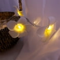 thumbnail image 5 of Guirnalda de luces de Frangipani de Dinheiro, Frangipani artificial, funciona con pilas, para fiestas de Navidad, bodas familiares y playa, 5 of 5