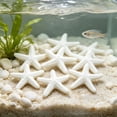 thumbnail image 4 of 10 Piece Mini Resin Starfish Set, DIY Starfish Decor for Beach Crafts Aquarium Layout Indoor Outdoor, Gift& Coastal Decor, 4 of 6