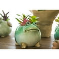 thumbnail image 2 of Evergreen Ceramic Frog Planter with Succulent, 2 of 3