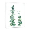 thumbnail image 2 of Designart 'Green Eucalyptus Branch' Tropical Framed Art Print, 2 of 4