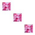 thumbnail image 3 of Minnieouse Paquete de 100 pétalos de rosas artificiales reutilizables, adorno romántico, flores falsas, suministros de compromiso, rojo oscuro y negro Type1 NO1 Minnieouse CBP105740, 3 of 6
