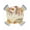 Off White, variant on Round Fitted Tablecloths with Elastic Edge Thanksgiving Pumpkin Fall Harvest Waterproof Wipeable Table Cover for Kitchen Dining Party Decor Autumn Foliage Wild Flower Table Clothes,45" - 54"