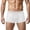 White, variant on Mens Mesh Boxer Underwear Solid Color Lightweight Elastic Briefs Low Rise Breathable Underpants