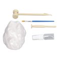 thumbnail image 4 of Kit de excavación arqueológica Qin Shi Huang tema cultivar paciencia educativo DIY juguetes ciencia kit para niños hogar, 4 of 8