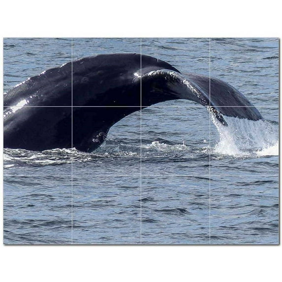 Whale Ceramic Tile Mural Kitchen Backsplash Bathroom Shower 403084-S43