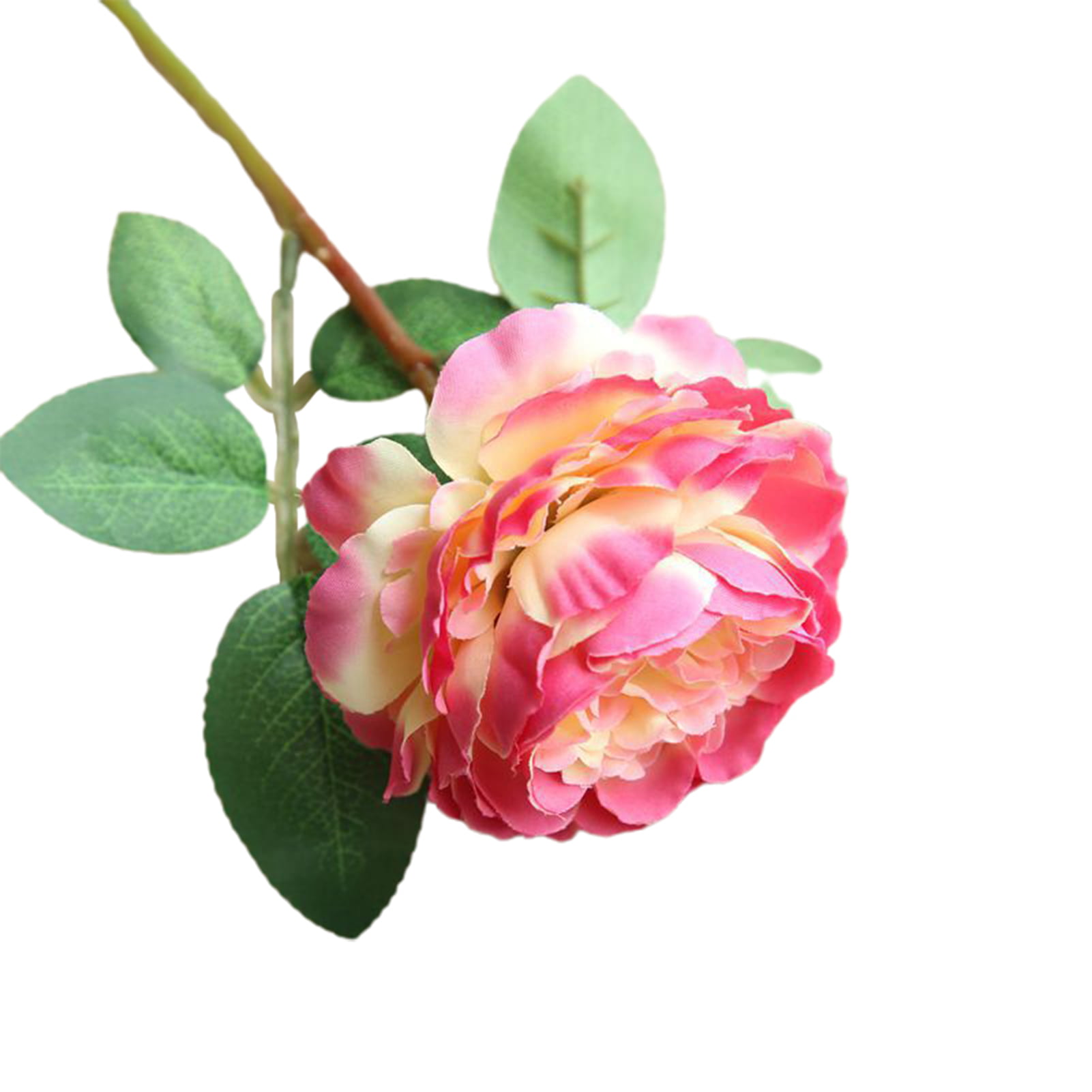 DIYHouse® 5PCS/Lot Artificial Silk Rose Heads DIY Decorative Bride Fake Flower
