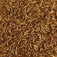 thumbnail image 3 of Kaytee Mealworms Bird Food  32 oz, 3 of 8