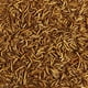 thumbnail image 3 of Alimento para pájaros silvestres Kaytee Mealworms, 0,9 kg, para pájaros azules y pollos, 3 of 8