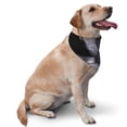 thumbnail image 2 of JUNZAN Black Cobra Snake Dog Bandanas,Dog Bandanas Scarf Triangle Bibs Kerchief Flannel Thicken Cotton Bandana for Small Medium Large Dogs and Cats, 2 of 6