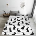 thumbnail image 5 of Sikiie Black Rabbit Ultra-Soft Micro flannel Blanket Luxury All Seasons Warm Blanket for Bedding Sofa and Travel (4 sizes)-80"x60", 5 of 7