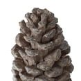thumbnail image 4 of Pine Cone Table Décor - 14"H - Gray, 4 of 4