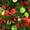 Dark Green Sequins, variant on Ayieyill Christmas Tree 5FT Pencil Christmas Tree, Collapsible Pop Up Tinsel Tree for Christmas Decorations Indoor, Green