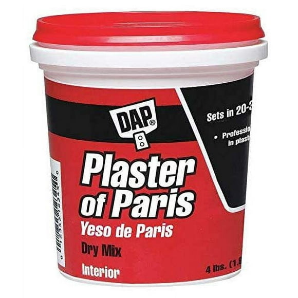 4 lb White Plaster of Paris