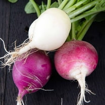 Easter Egg Blend Radish Seeds - 5 Lb Seed Pouch - Heirloom Garden Seeds, Non-GMO - Vegetable Gardening and Microgreens