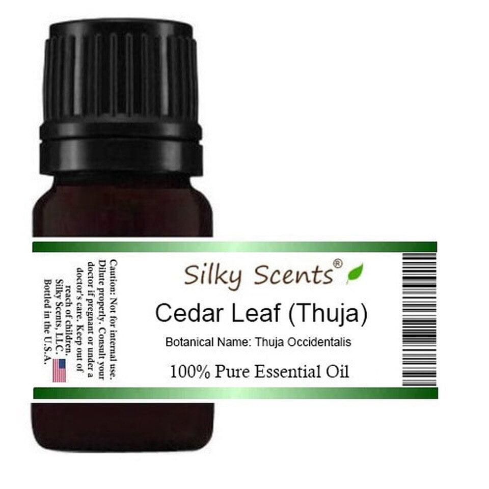 Cedar Leaf or White Cedar Essential Oil (Thuja Occidentalis) 100 Pure Therapeutic Grade 15 ML