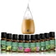 thumbnail image 4 of Aceites esenciales para difusores Lavanda Eucalipto Árbol de té Menta Romero Menta Bergamota Limón Rosa Aceite esencial puro 10 ml, 4 of 5