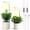 White, variant on GPED Plant Grow Light, LED Growing Light for Indoor Plants, Full Spectrum Desk Growth Lamp w/ Automatic Timer(3/9/12Hrs) & Height Adjustable, 10 Dimmable Brightness for Small Plants, 2 Packs, White