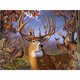 thumbnail image 1 of Cuadros Decorativos Kit de pintura de diamante 5D Ciervos del bosque Taladro cuadrado completo Rhinestone DIY Arte de la pared Likrtyny embutido en tela, 1 of 9