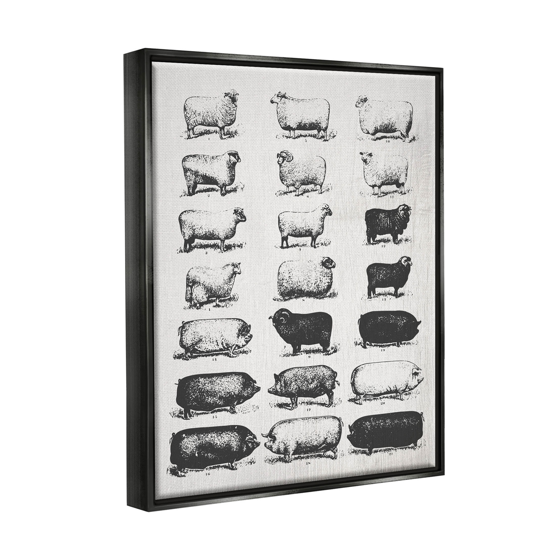 Stupell Industries Vintage Farm Animal Chart Graphic Art Jet Black Floating Framed Canvas Print Wall Art, Design by Daphne Polselli