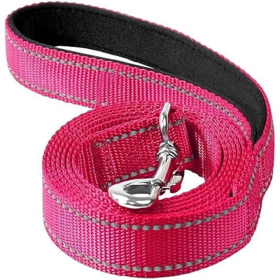 Eryueer Reflective Dog Leash 4ft Soft Padded Handle Nylon Lead for Small & Medium Dogs, Durable Walking Training Leash for Night Safety (Hotpink,3/4Inch Wide)