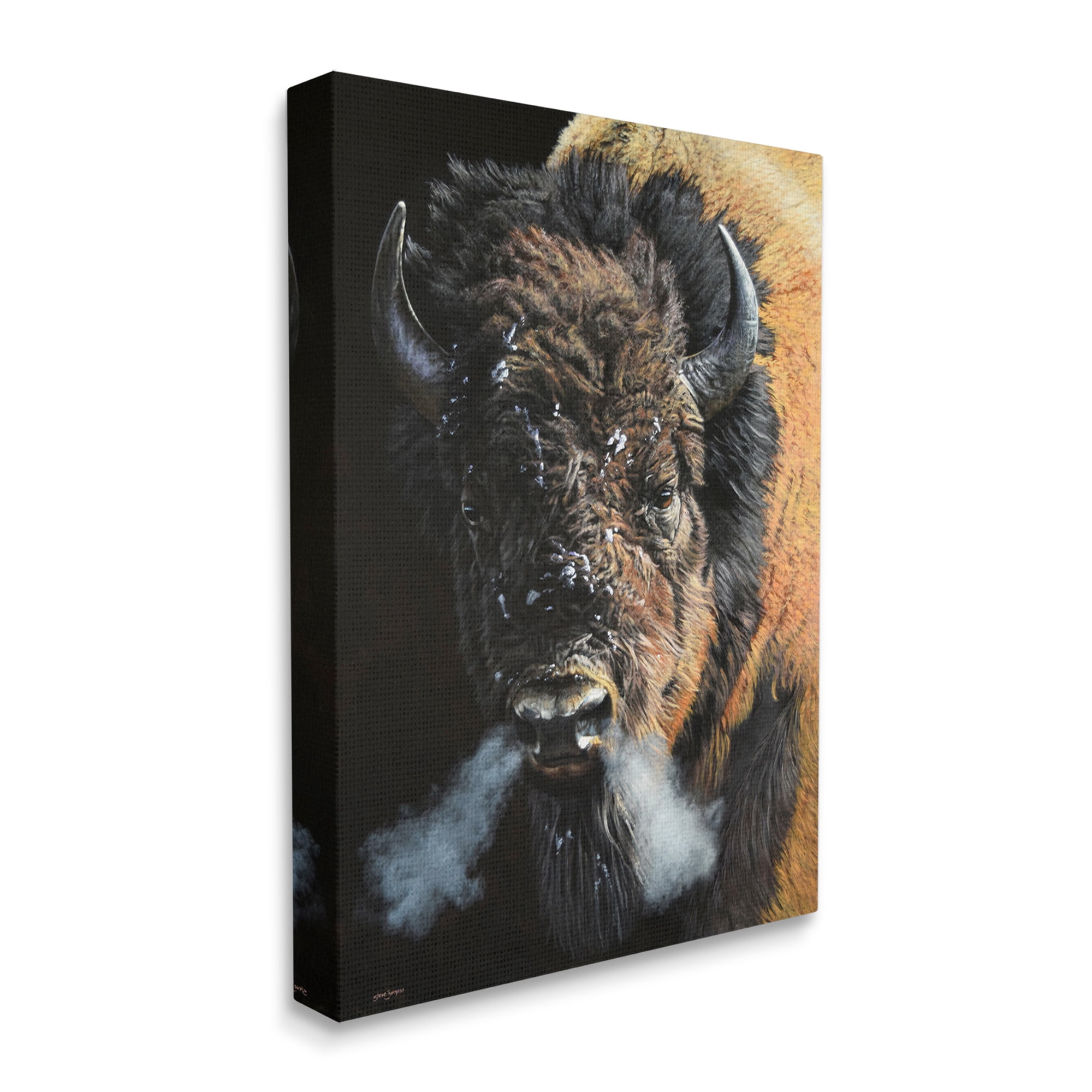 Stupell Industries Bison Breathing Steam Animals & Insects Photography Gallery Wrapped Canvas Art Print Wall Art, 36 x 48