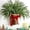1PC, variant on Dalrosia Christmas Norfolk Pine Wreath Christmas Wreaths for Front Door Hanging Basket Christmas Kitchen Cabinet Wreaths with Red Ribbon Farmhouse Rustic Xmas Pine Wreath for Window Wall