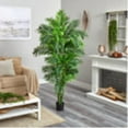 thumbnail image 3 of Nearly Natural 6' Curvy Parlor Palm Artificial Tree, Green, 3 of 4