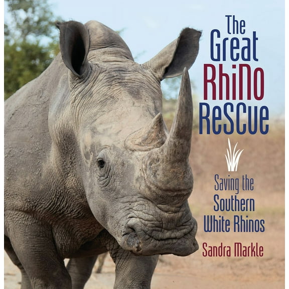 Sandra Markle's Science Discoveries The Great Rhino Rescue: Saving the Southern White Rhinos, (Paperback)