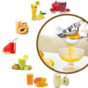 Zinc alloy manual juicer orange juicer stainless steel color fruit juicer anti-caustic, dishwasher safe