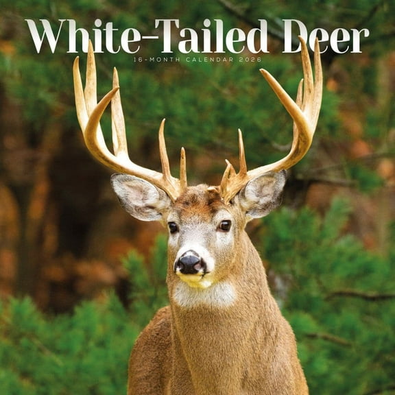Carousel Calendars, White Tailed Deer  2026 Wall Calendar