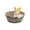 D, variant on Piwvid Cute Rabbit Shaped Succulent Planter, Resin Animal Flower Pot and Plant Container, Decorative Home Garden Vase for Indoor Decor, Available in Pig, Dog, Fox Designs, Easy to Clean