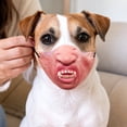 thumbnail image 5 of Rdausd Funny Dog Muzzle Costume Mask, Novelty Creepy Dog Face Mask for Small Medium Large Dogs, Hilarious Pet Costume Accessory for Parties Halloween Photos Pranks, 5 of 7