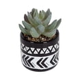 thumbnail image 1 of hometrends Taboo Mini Faux Succulent, 1 of 7