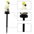 thumbnail image 3 of Solar Parrot Inserting Ground Landscape Light Resin Crafts Garden Light 10 Ft String Lights Indoor, 3 of 5