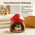 thumbnail image 1 of BELOVING Ceramic Hamster House Cartoon Hideaway House for Chipmunk Dwarf Hamster Rats S, 1 of 10