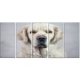 thumbnail image 2 of Triste et Beau Chien - Impression sur Toile d'Animal, 2 of 3