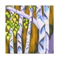 thumbnail image 1 of Birch Tree Splendor - Canvas, 1 of 10