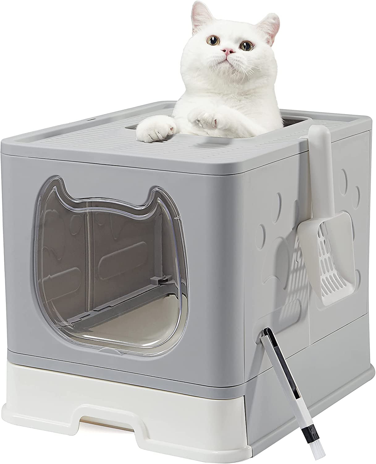 Cat Litter Box with Lid, Covered Kitty Litter Box for Kitten and Small