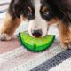 thumbnail image 3 of Pet Cooling Chew Toy Pet Freezable Cooling Mordedor Anillo de dentición Cooling Dog Toy, Durable Summer Dog Ice Toy, Frozen Fruit ShapeLemon250, 3 of 5