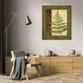 thumbnail image 3 of Delphine Corbin 26x32 Gallery Wrapped Canvas Wall Art Titled - Fern Grotto I, 3 of 4
