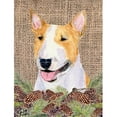 thumbnail image 1 of Carolines Treasures SS4086GF 11 x 15 In. Bull Terrier Flag- Garden Size, 1 of 3