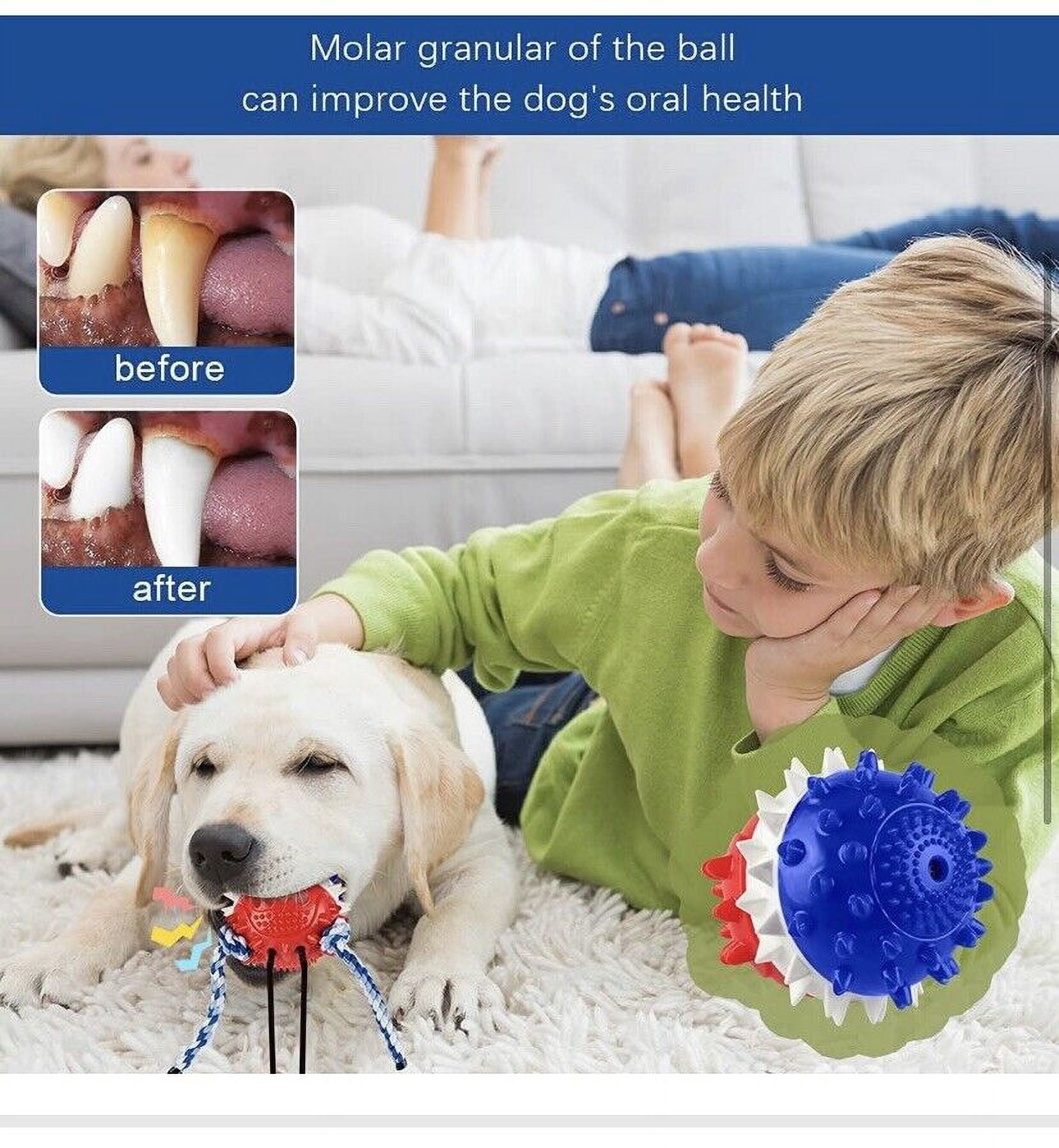 Deamchoe Dog Toys for Aggressive Chewers Interactive Dog Toys Indestructible ...