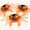 B, variant on 3PCS Sinking Soft Crab Fishing Lures, Bionic Crab Baits with Double Hooks, Long-Cast Artificial Soft Baits for Bass, Walleye, Pike, Muskie, Saltwater & Freshwater Fishing