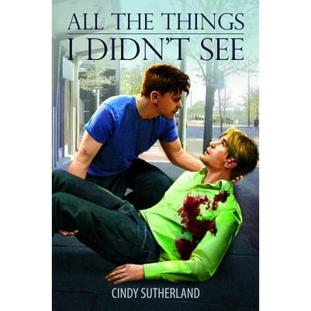 All the Things I Didn't See - eBook