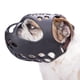 thumbnail image 1 of Bozal sin corteza para bulldog inglés con hocico corto XL, 1 of 6
