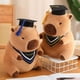 thumbnail image 4 of 2024 NUEVOS muñecos de peluche para graduados, doctor capibara, búho, oso de peluche, lindo muñeco de peluche, almohada de dibujos animados suave, regalo de graduación, 4 of 5