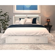Bowery Hill Traditional Solid Wood Murphy Queen Bed in White