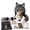 C-70728bb, variant on DIY Crochet Hat Kit for Adults, Fantasy Animal Crochet Kit with Step-by-Step Guide, Yarn & Hooks Included, Fits Most Handmade Gift for Craft Lovers