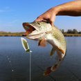 thumbnail image 5 of Microcebo para insectos de 38mm y 23g cuerpo de plástico suave Mini señuelo flotante para pesca de trucha cebo luminoso Artificial para insectos para pesca, 5 of 5